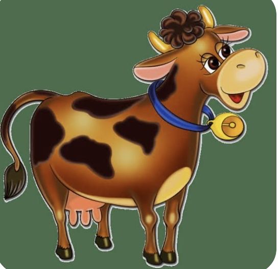 Сиыр 1 жарым 2 жасар семіз жайлым балы