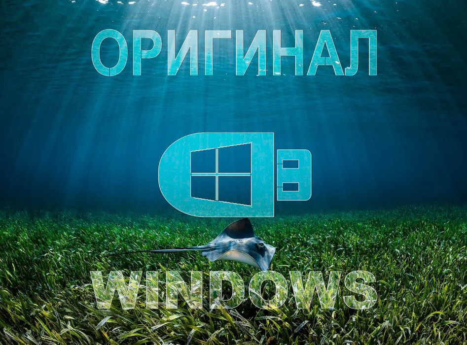 Виндус 11 | 10 лицензия и программа office для Виндос