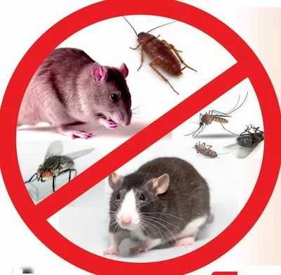 Уничтожение , мышей, крыс, блох, клопов, кандала обработка дезинфекция