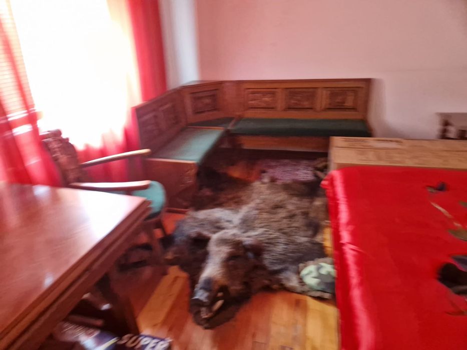 Trofeu cerb.mistret.mobila vanatorul