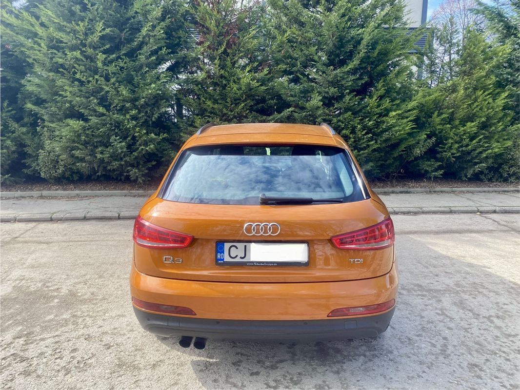 Audi Q3 Model deosebit