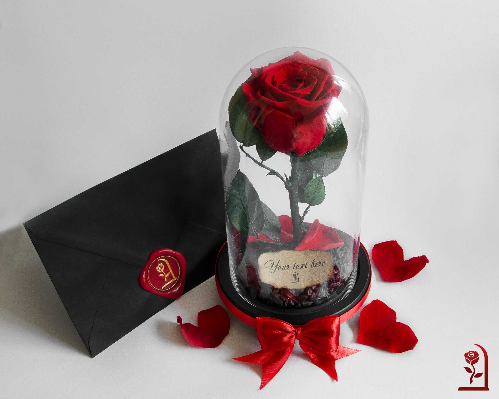 ЕСТЕСТВЕНА вечна роза в стъкленица "Красавицата и Звяра" | ХИТ Подарък