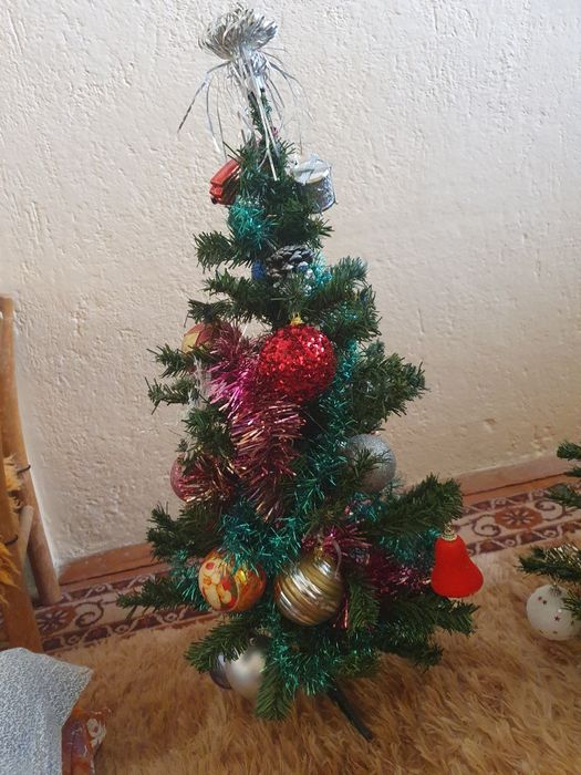 Коледна елха по 30 лв