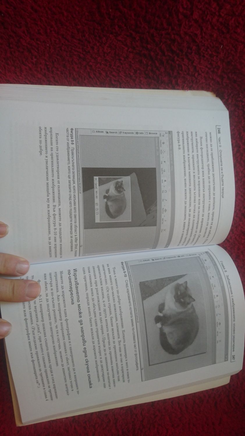 Учебник Цифрова фотографии
