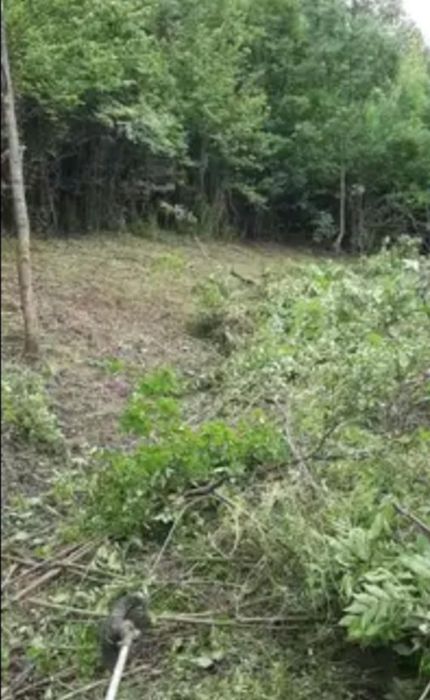 Defrisari mecanizate