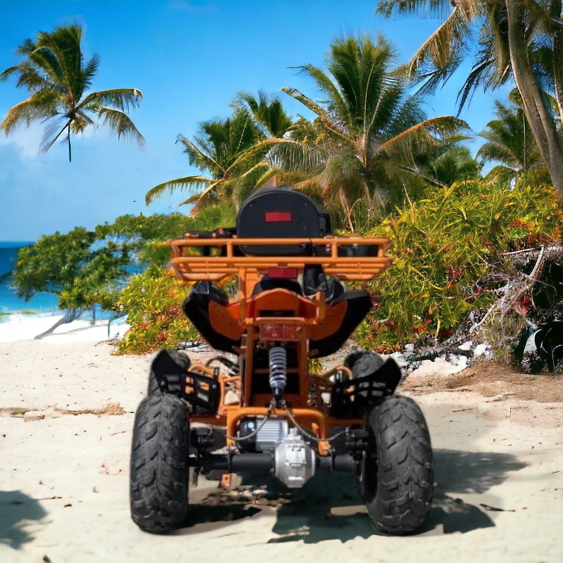 Електрическо ATV MaxMotors Falcon Sport 1500W