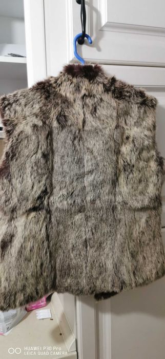 Vesta Dama Massimo Rebecchi