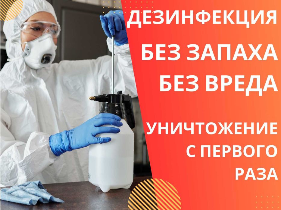 Dezinfeksiya klop tarakan Дезинфекция клопов тараканов СКИДКИ до 40%