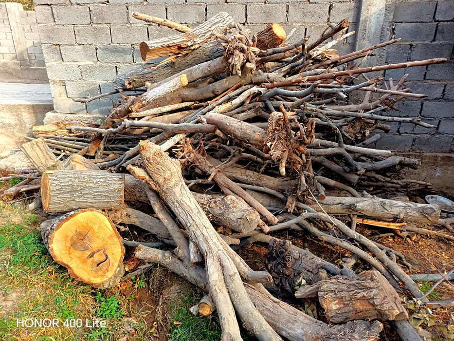 Quruq Yangʼoq Olma Zardoli oʼtin bor sotiladigan