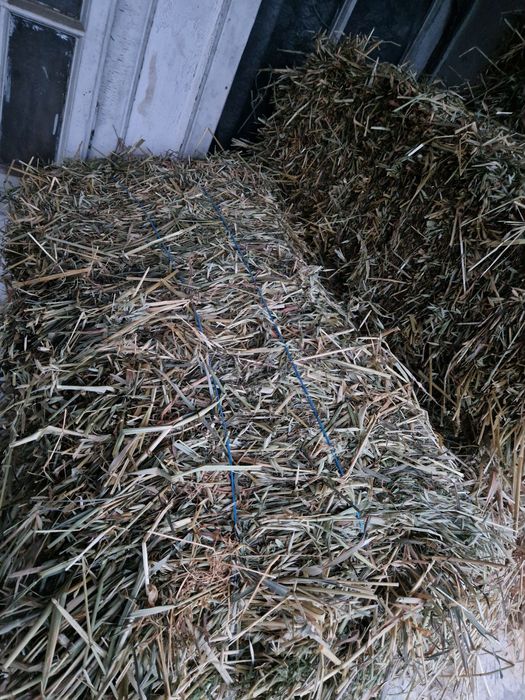 Baloti ovaz cosit cu lucerna noua 14 lei balotul