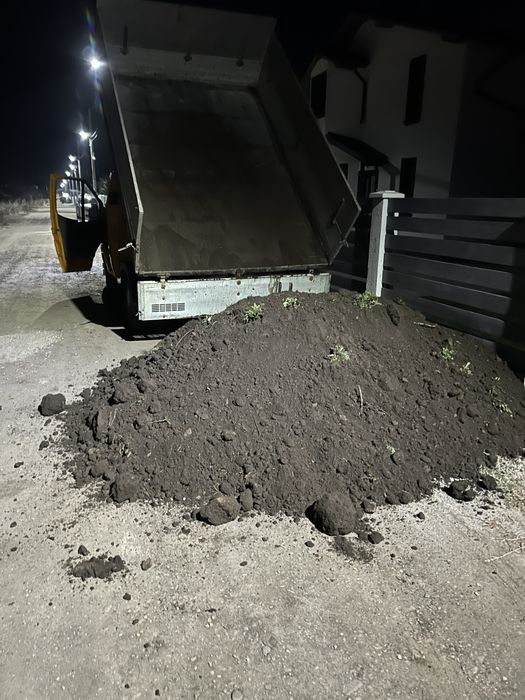 Mranita si pamant negru