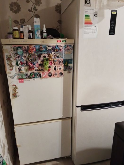 Холодильник Snaige+БОНУС