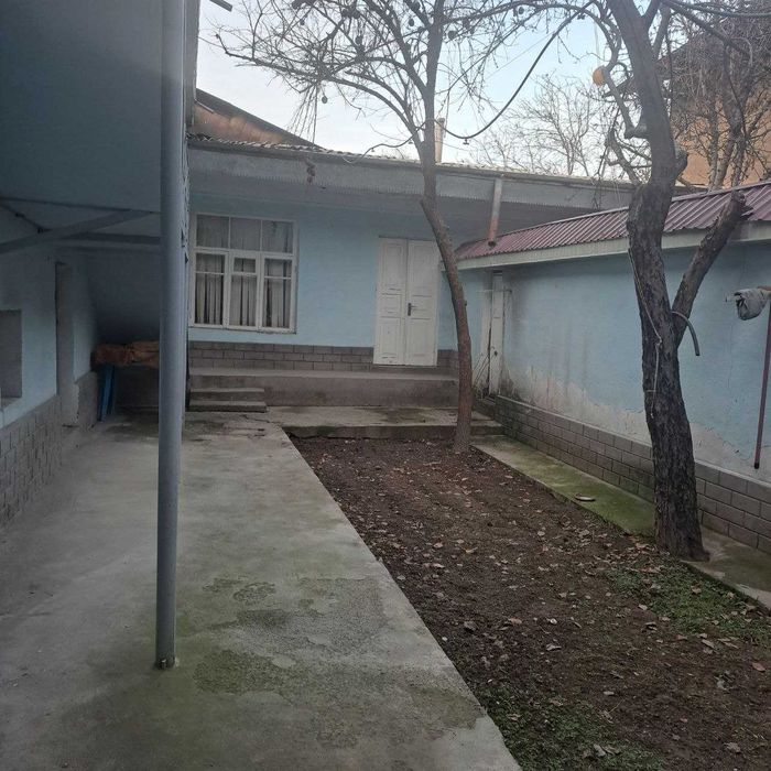 Hovli yunsobot kodastr xujatlari joyida