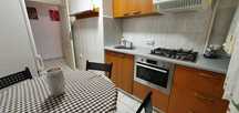 Apartament 1 camera Nae Leonard utilat/mobilat mansarda