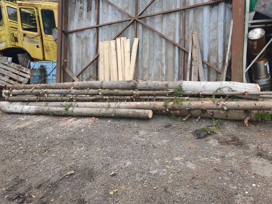 Popi de brad lungi de 6 metri grosime intre 15 si 30 cm.