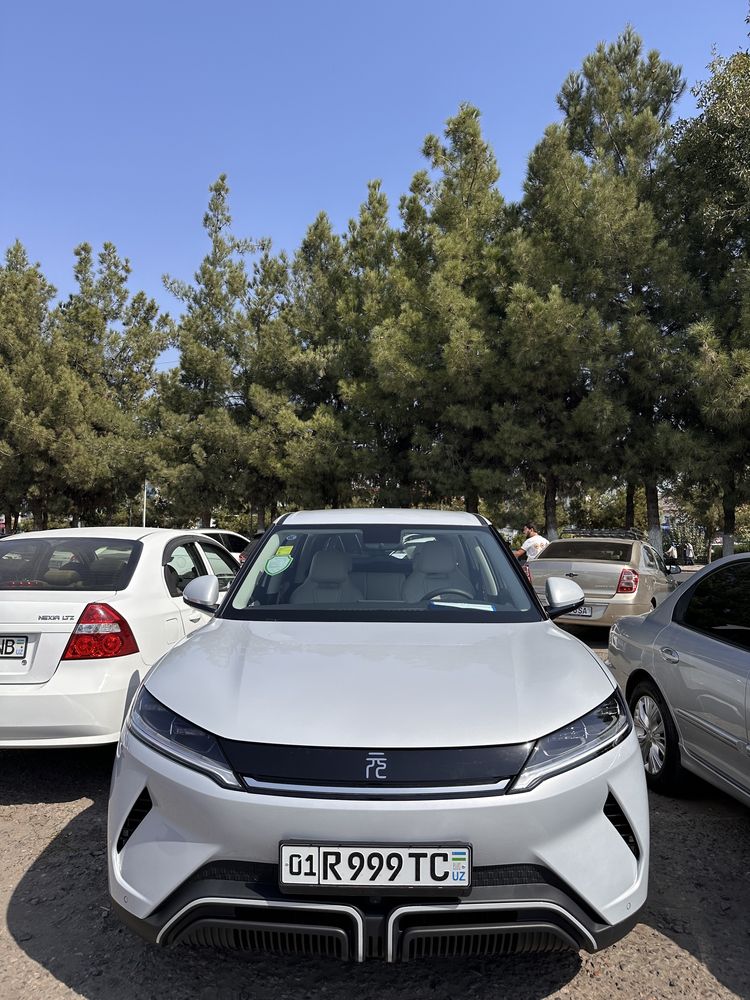 Byd yuan up 2024