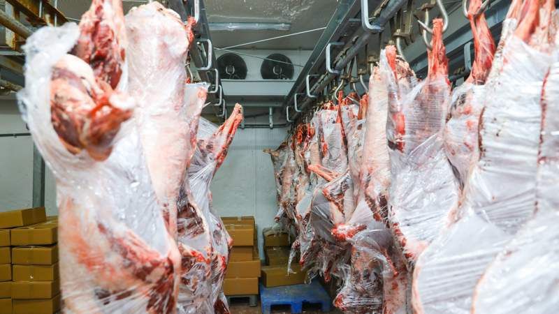 Сайгак тушка,мясо свежее