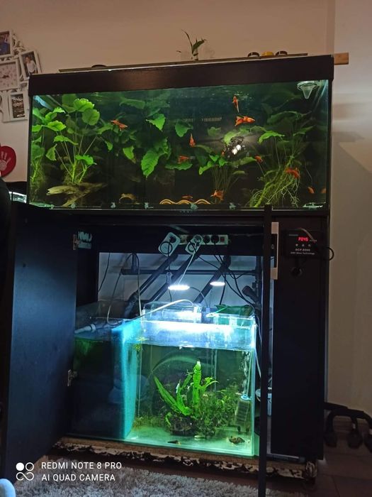 Acvariu 330 litri cu sump bean (filtru) si stand metalic,juwel 450 lit