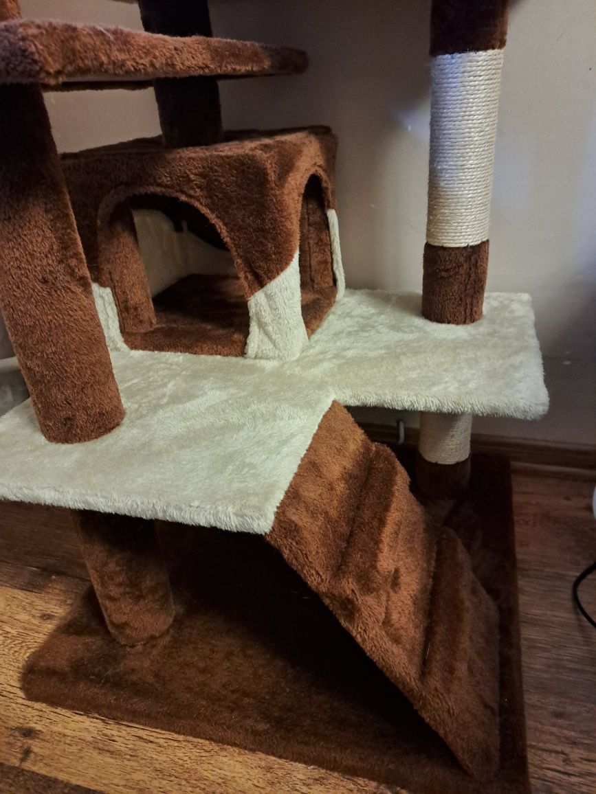 Котешка катерушка