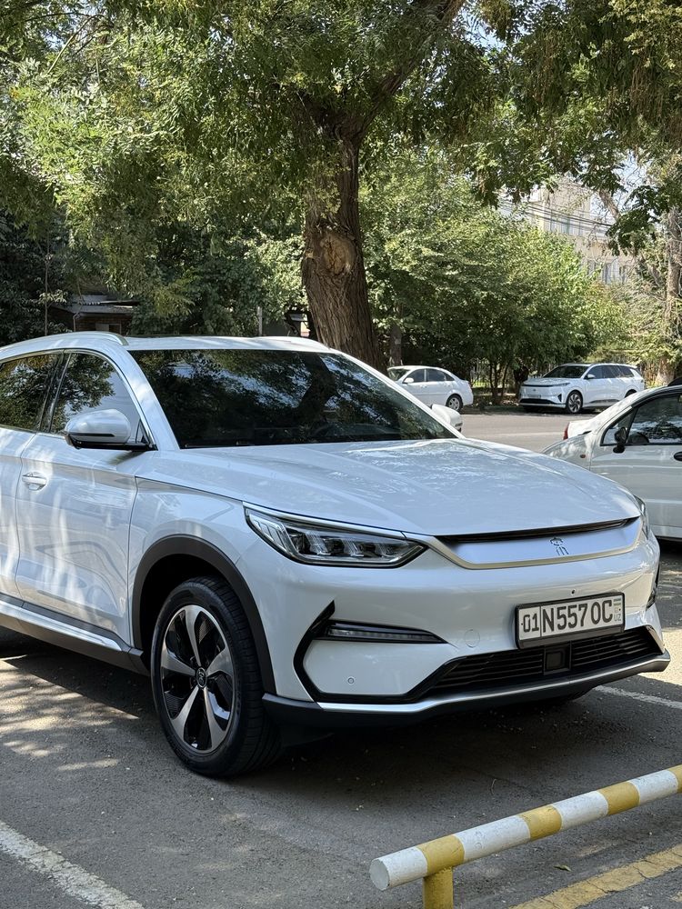Byd song plus 2023 yil sotiladi