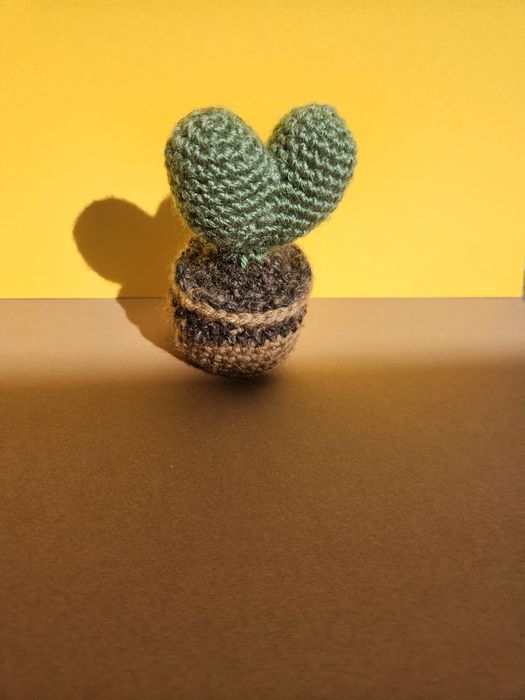 Cactus inimioara croșetat