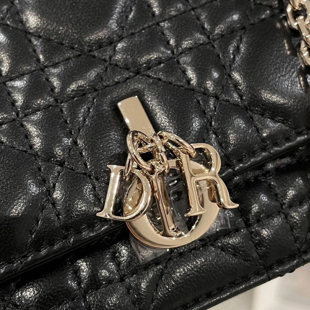 Geanta Christian Dior Woc
