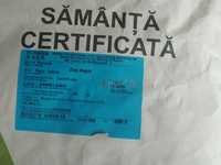 Samanta Porumb Certificat Felix, Magnus, Fundulea 475M,Turda