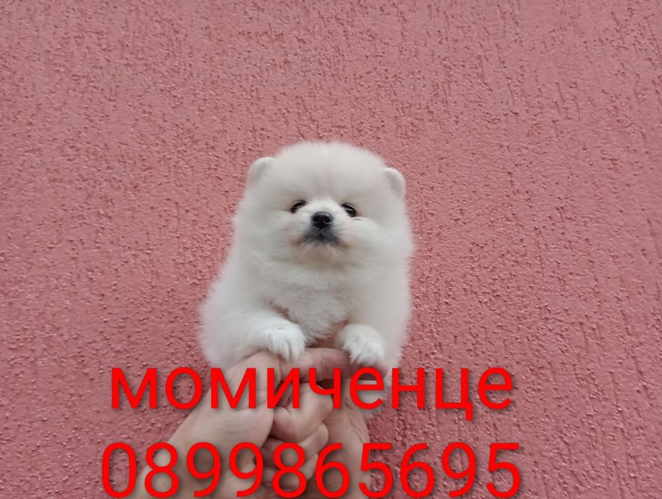 Померани . Момичета