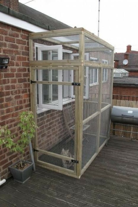 Вольеры для кошек