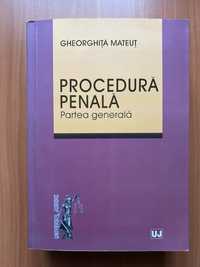 Procedura penală, Gheorghiță Mateuț, 2019