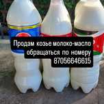 Продам козье молоко