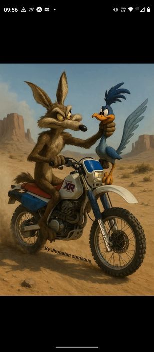 Suzuki DR 350 enduro