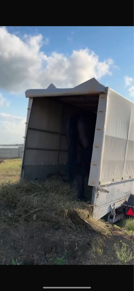Продам Прицеп легковой