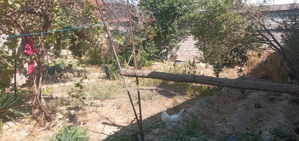 Рахметовасветлана