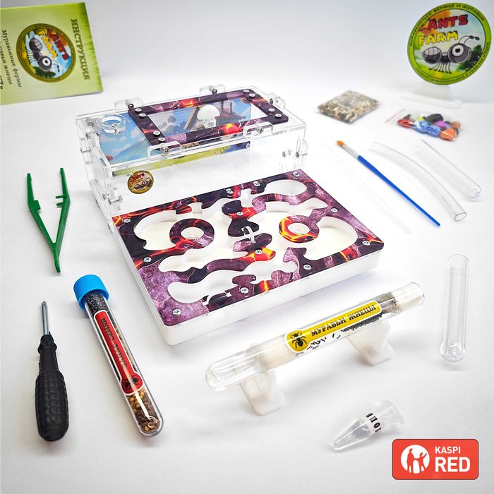 ГИПСОВЫЙ Формикарий "PREMIUM" ||| Муравьиная ферма - Муравьи жнецы