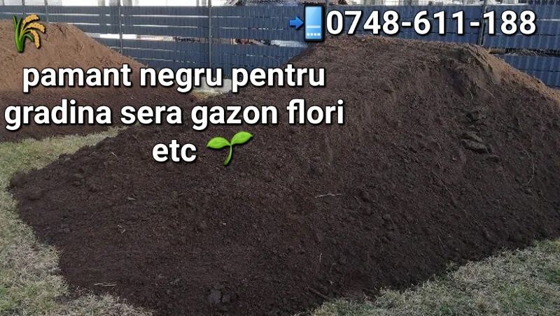 Pamant negru vegetal