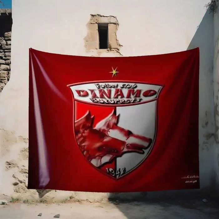 Pinza Dinamo Bucurestii