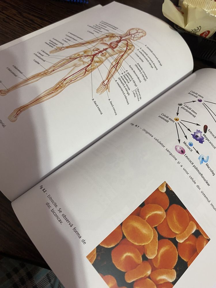 Anatomie si fiziologie umana carte