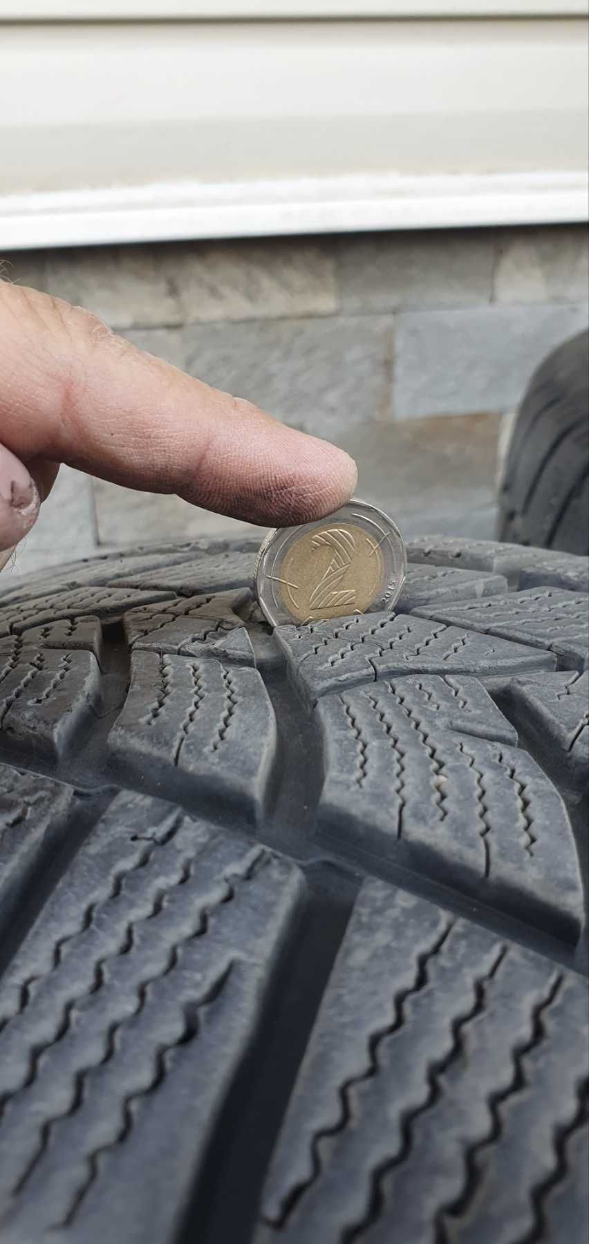 Зимни гуми DUNLOP WINTER SPORT 5 suv