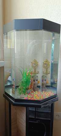 Продам аквариум в виде колонны 45 литров + декор бонусом
