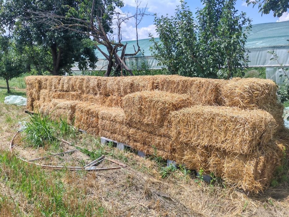 Baloți din paie de grâu