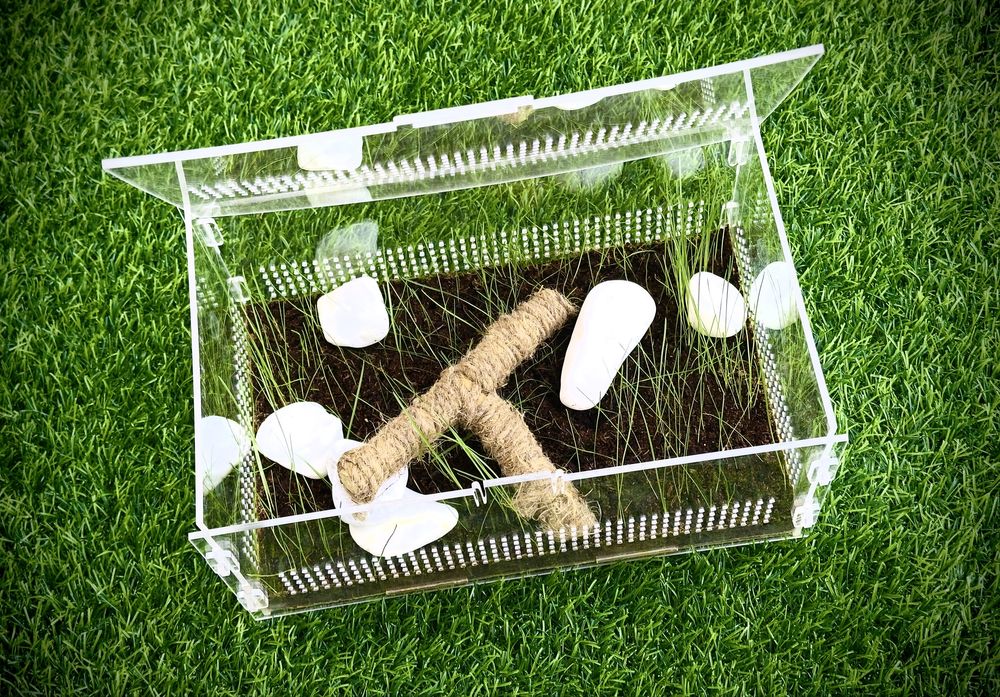 ТЕРРАРИУМ -  сухой аквариум