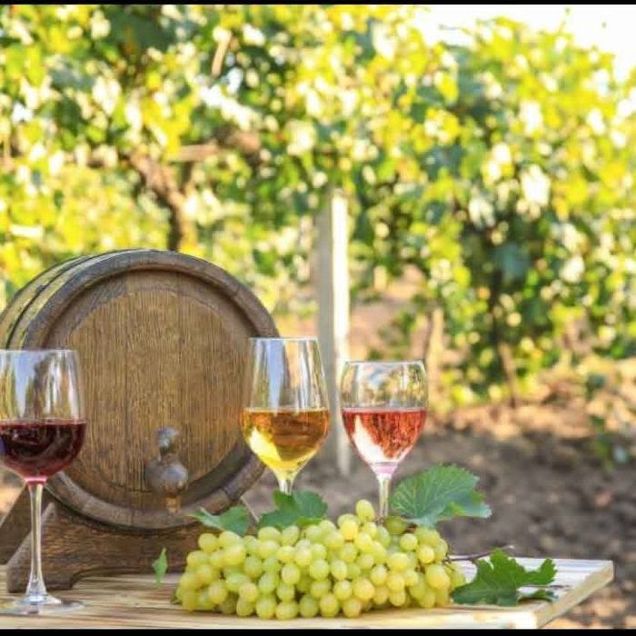 Vindem struguri de vin cu transport gratuit la domiciliu clientului