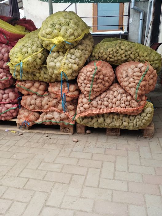 Cartofi pt consum și animale