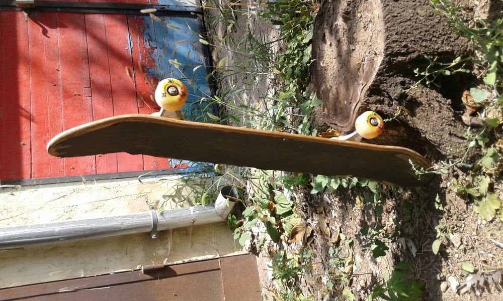 Скейтборд унисекс