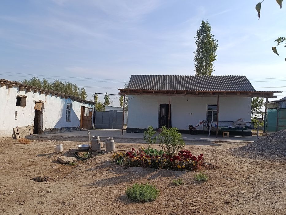 Sirdaryo viloyati Baht shahri Orzu MFE DORULAMON KOʻCHASI 13