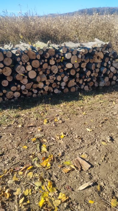 Lemne de foc carpen sí fag