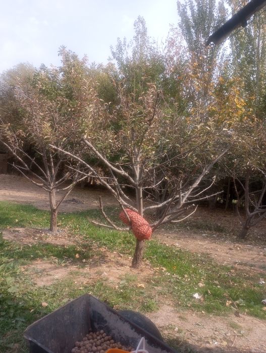 Oqtosh Xondayliq qishlogʻida tayyor uy-joy