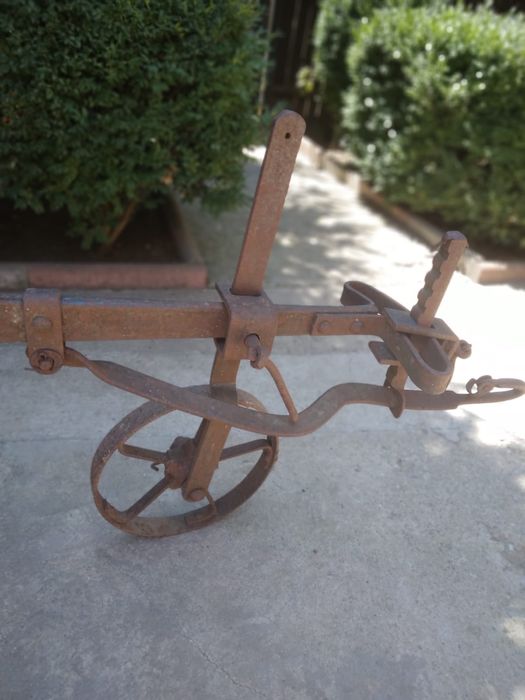 Plug vechi obiecte de colectie gradina de tras cu boii