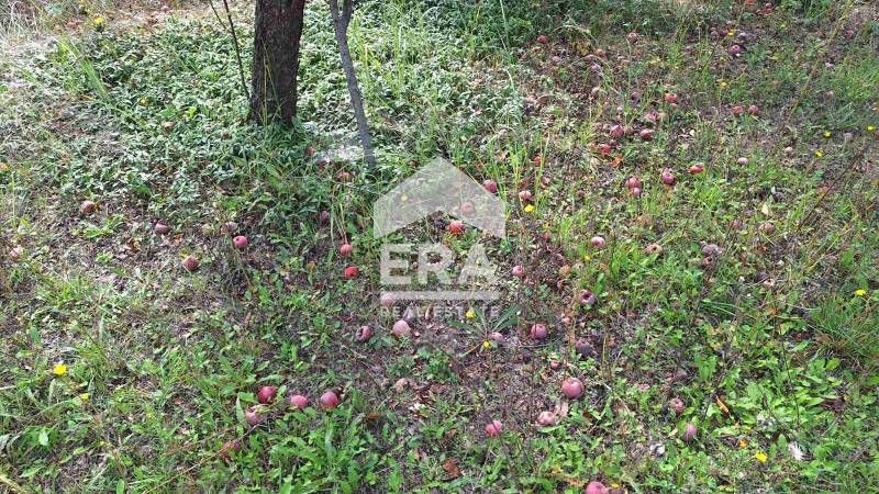 Продава се Парцел в Варна, м-т Боровец - юг - 1236 кв.м за 37 €/кв.м - Снимка #5